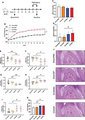 Salivary microbiota of periodontitis aggravates bone loss in ovariectomized rats